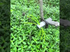 トリマー ライン