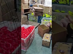 トリマーライン3