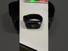 ゲストページシステム