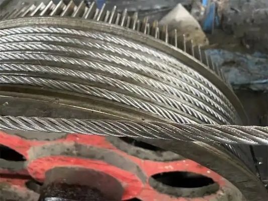 購入 OEM 400ft T316 1/8 
